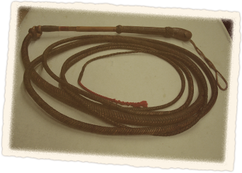 Dog whip