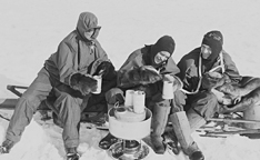 KS2 - Polar Survival