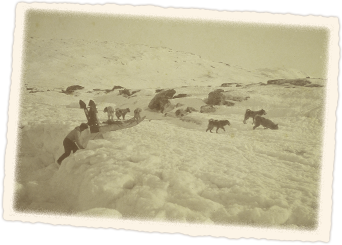 Sledging on glacier