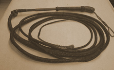 Dog whip