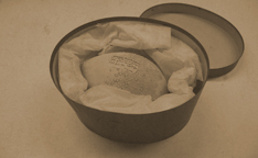 Penguin eggs