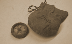 Sledge Compass
