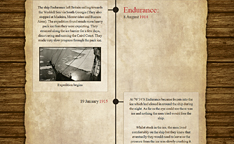 Timeline