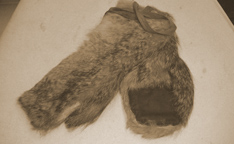 Wolfskin gloves