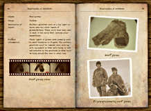 Wolf skin gauntlets