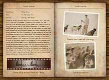 Terra Nova Dogs
